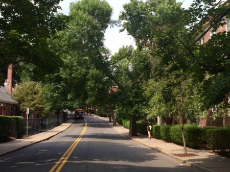 2 Bedroom apartment with parking in Brookline, MA