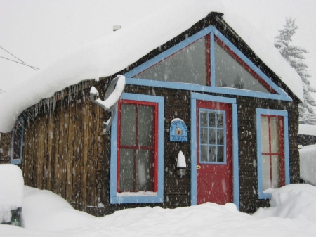Cozy Cabin in the Heart of it All - Unbeatable Location!