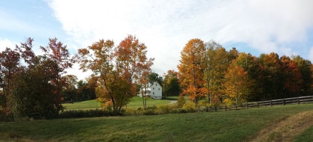 Farm House Getaway On 200 Acre Horse Farm