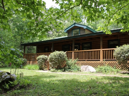 Fern Garden, A Cabin in Clifftops